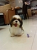 vivian88 的會員頭像