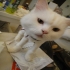 莫 的會員頭像