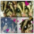 cawaii760311 的會員頭像