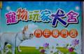dogplayer1 的會員頭像