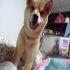 lily0923332729 的會員頭像