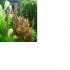 tonylin1118 的會員頭像