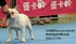 asd241331 的會員頭像