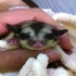 ewalt 的會員頭像