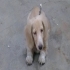 ajustnice 的會員頭像