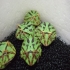 cbfrog777 的會員頭像