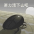 28439599 的會員頭像