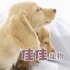 a1996830 的會員頭像
