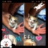 miijj7496 的會員頭像