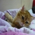 teacat03101128 的會員頭像