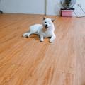 Danfei82924 的會員頭像