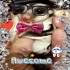 wudy519 的會員頭像