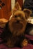 chen6121183 的會員頭像