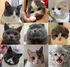 Happycat2013 的會員頭像