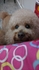 rt1288660 的會員頭像