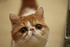 miumiucat 的會員頭像