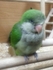 b0927131580 的會員頭像