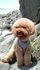 pinhui122 的會員頭像