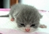 mylukygrass 的會員頭像