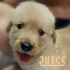 jamecc 的會員頭像