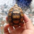 k20040330 的會員頭像